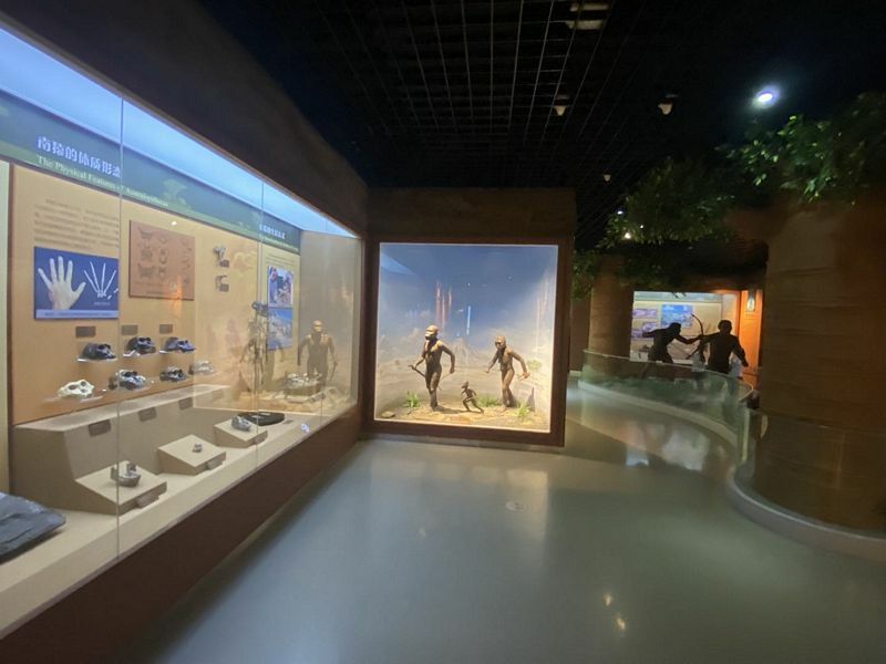 Beijing Natural History Museum
