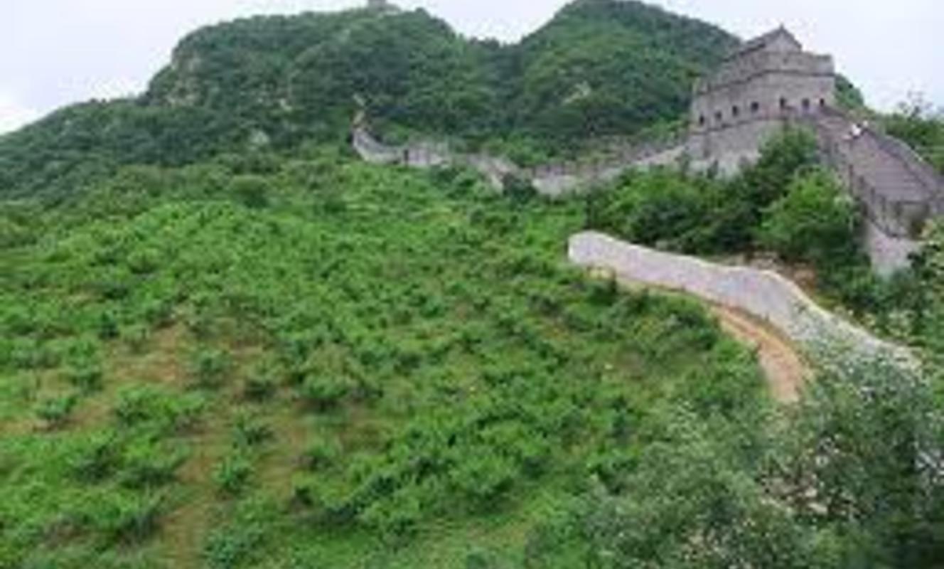 Large hushan tiget mountain great wall 